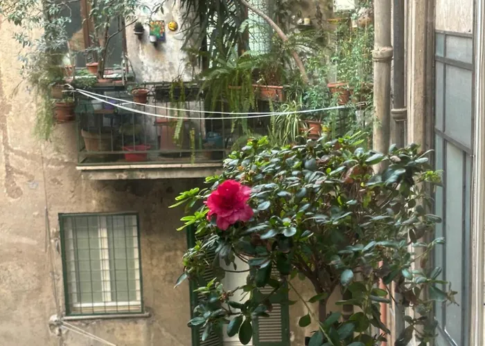 Art Lab Bed & Breakfast 4*